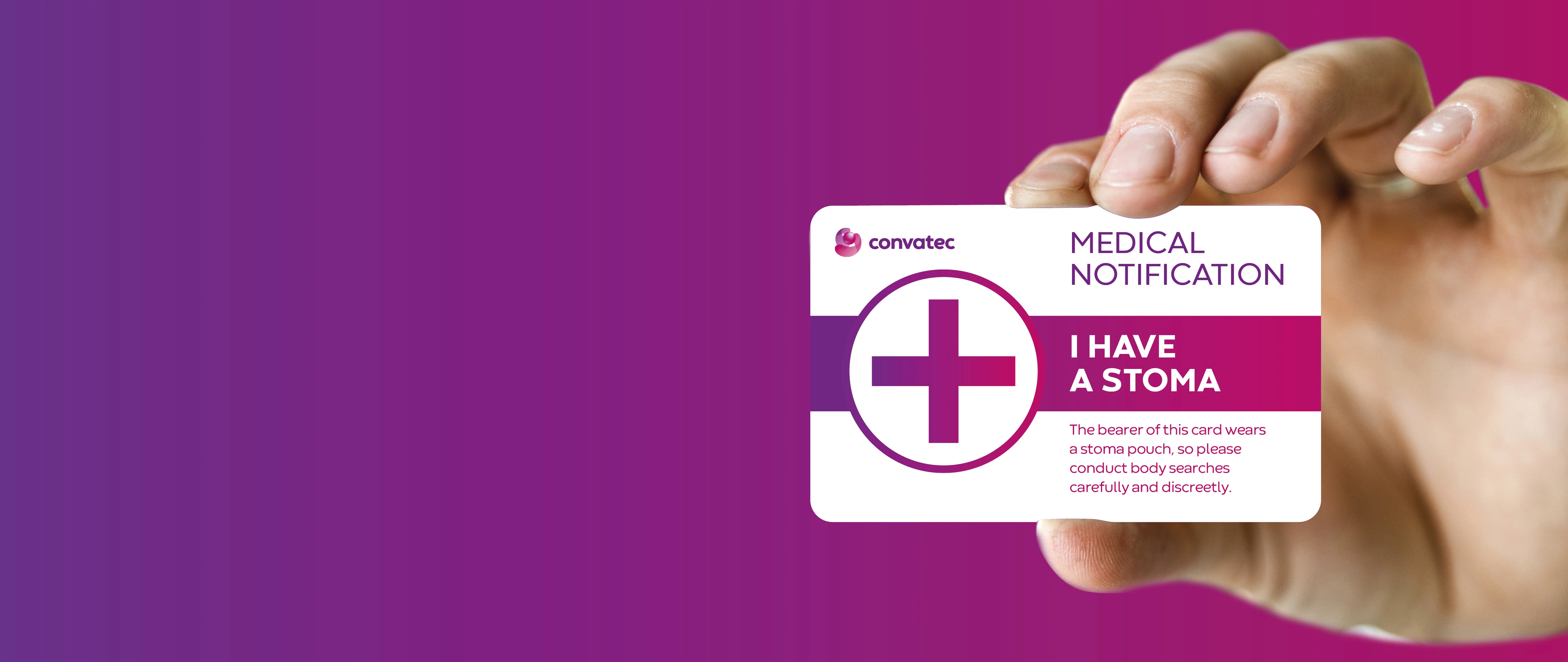 interface utilisateur graphique, application