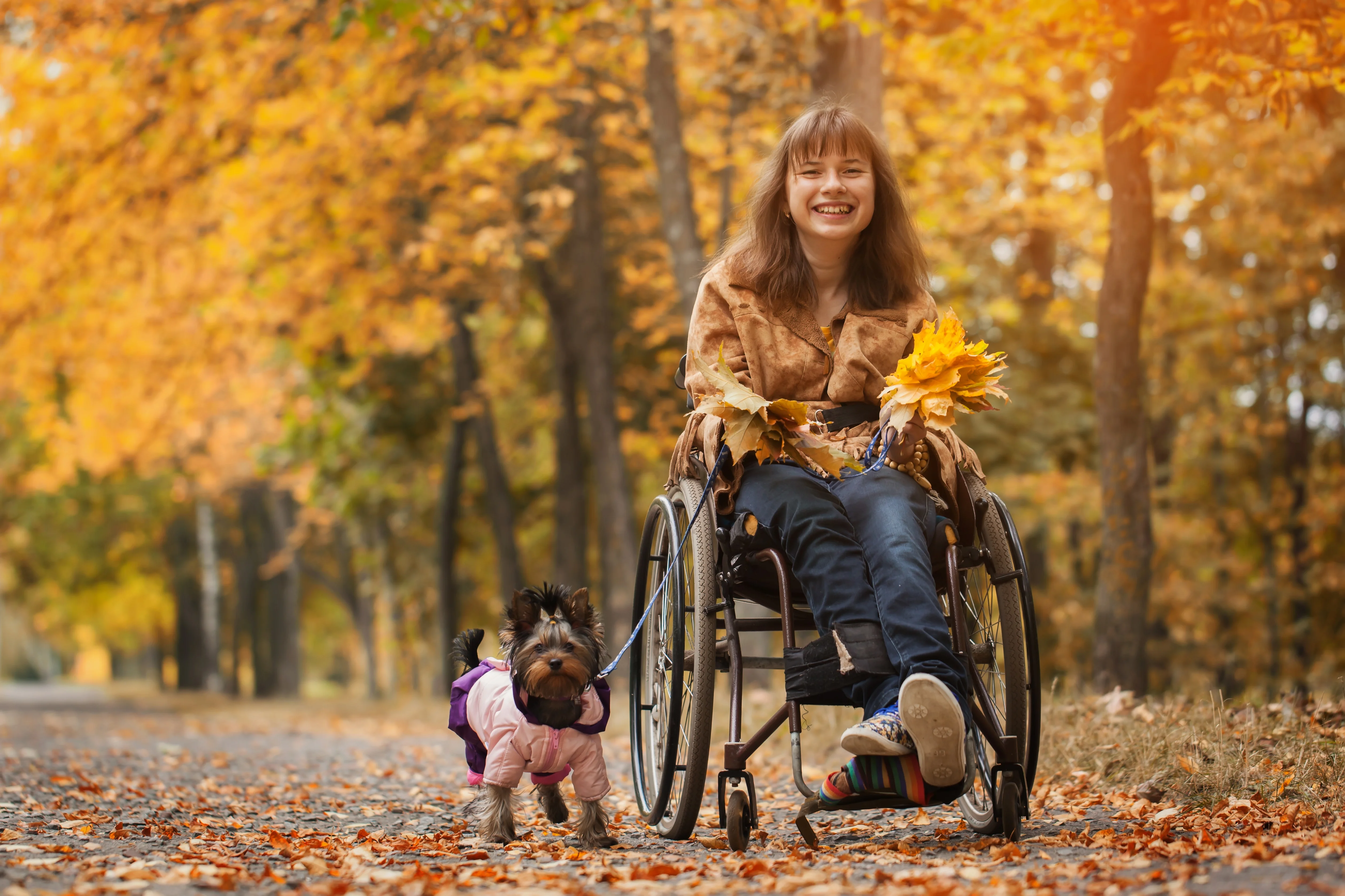 a woman in a wheelchair with a dog in a park