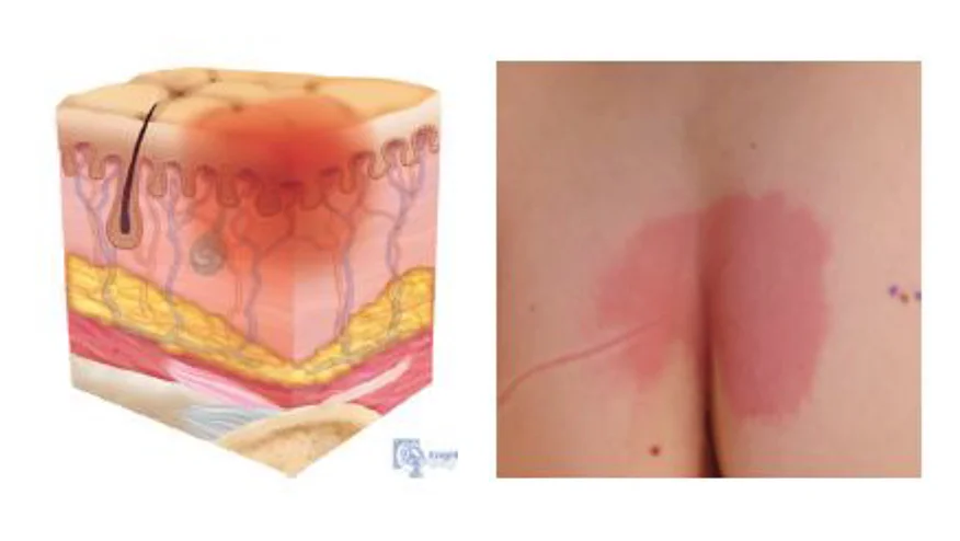 Un primer plano de la cara de una persona