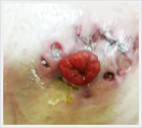 食べ物のクローズアップ