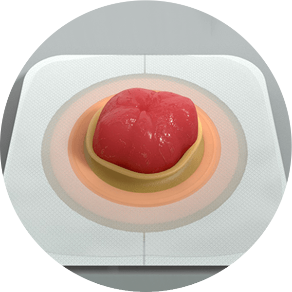 a close-up of a skin barrier